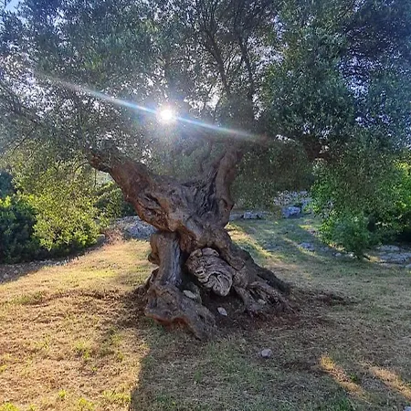 La Loggia Di Διαμέρισμα
