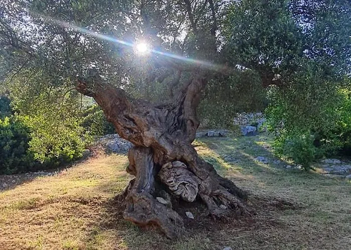 La Loggia Di Apartamento